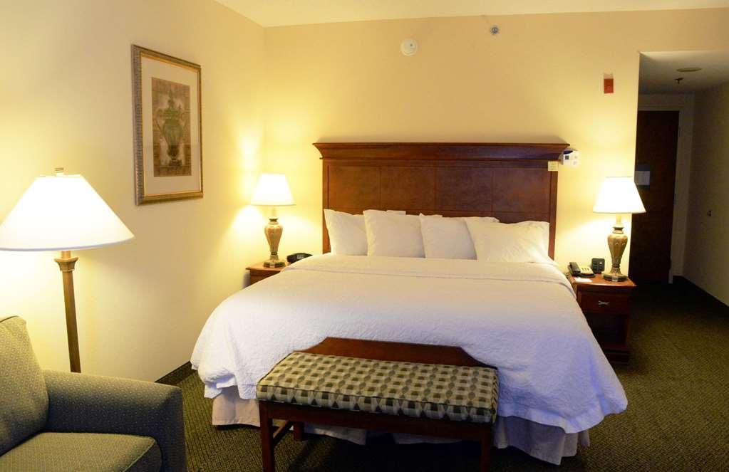 Hampton Inn & Suites Birmingham-Hoover-Galleria Rum bild