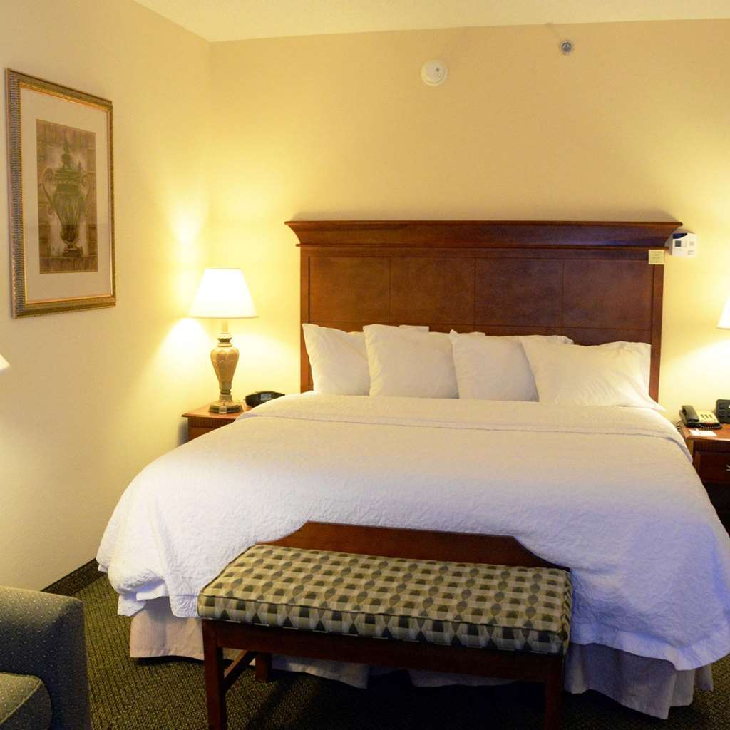 Hampton Inn & Suites Birmingham-Hoover-Galleria Rum bild